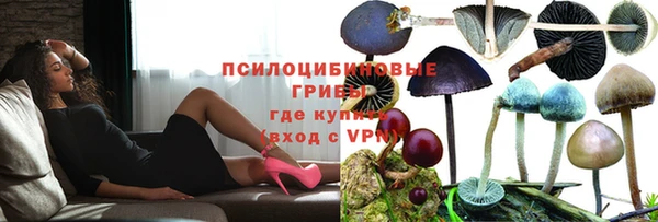 мдма Каменка
