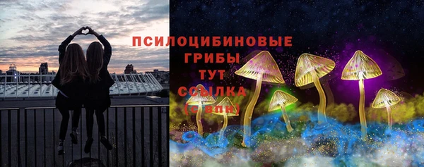 мдма Каменка
